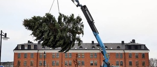 Därför fick Visborg finaste julgranen