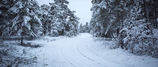 Längdskidåkning för entusiasterna