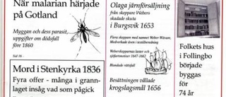 Bryggare och malaria avhandlas i Haimdagar