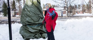 Här invigs Mjölkuddens nya konstverk