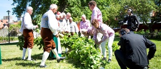 HELA LISTAN: Här kan du fira midsommar på Gotland