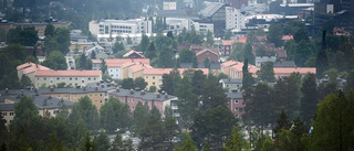 Solbacken – gallra i skogen så vi ser stan