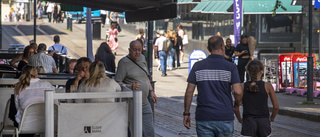 Flanören vittnar om kaos för både gående och bilister i stan • "Vad är det för vits med att sitta ner mitt ute i gatan?"