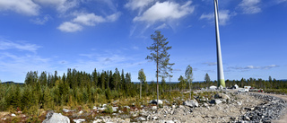 Strid om vindkraft på Hällberget går vidare till nästa instans