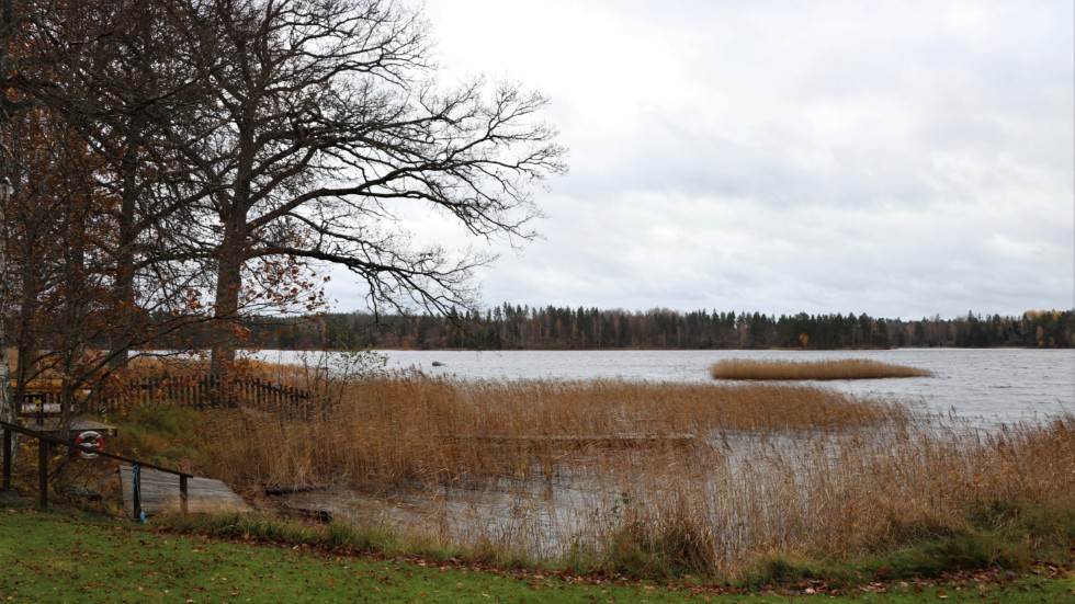 Beklämmande hur Holmen, som nyligen lovade att värna Kolmårdens biologiska mångfald, nu vill förvandla samma biologiska mångfald till industriområde, skriver Gunnar Ljunggren. Arkivbild.. 