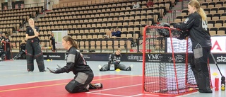 Fyra landslagsinstruktörer klara för Goalie Camp Gotland • ”Nyckeln till att innebandyn utvecklas”