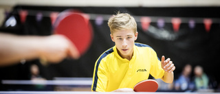 Bordtennisframgångar i Pingisiaden och Lag-SM