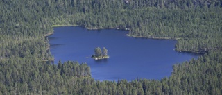 Ensidig bild av skogsbruket ökar polariseringen