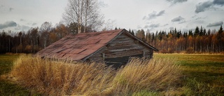 Läsarbilden: Inbäddad lada    