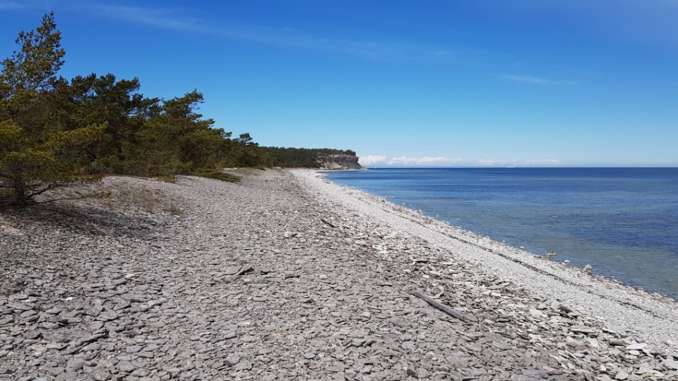 Länsstyrelsen har polisanmält en fastighetsägare för att hen har byggt inom strandskyddat område utan dispens. (Stranden på bilden har inget samband med texten.)