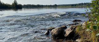 Läsarbilden: Strömmande vatten