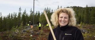 En geologisk vandringsstig växer fram – ”Upptäck sevärdheter såsom kuddlava och flyttblock”