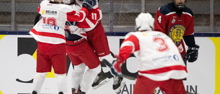 Efter 81 år: historiskt beslut kan tas för ishockeyn i Östergötland 