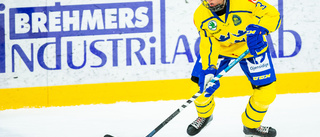 Avslöjar: Landslagsbacken klar för Luleå Hockey