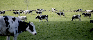 Mindre smör och mjölk – men mer deg för Arla