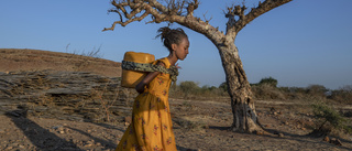 Etiopiens ledare bekräftar trupper i Tigray