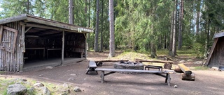 Ved har gått upp i rök i barnens skolskog Hörestadhult