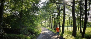 Promenad i julisol månadens vinnare