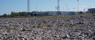 Här är markägarens planer för Ljungheden