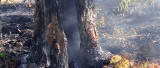 Brand i hygge efter åska