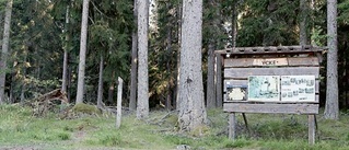 Större naturreservat räddar urskog och djurliv