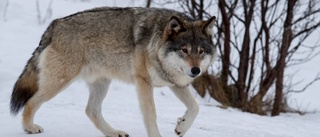 Beslutet borde märkas kring Malmköping