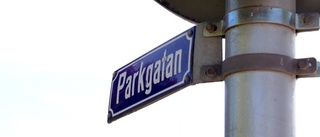 Parkgatans träd – ett problem