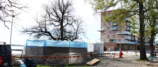 Skulptur på Slottsholmen återspeglar historien