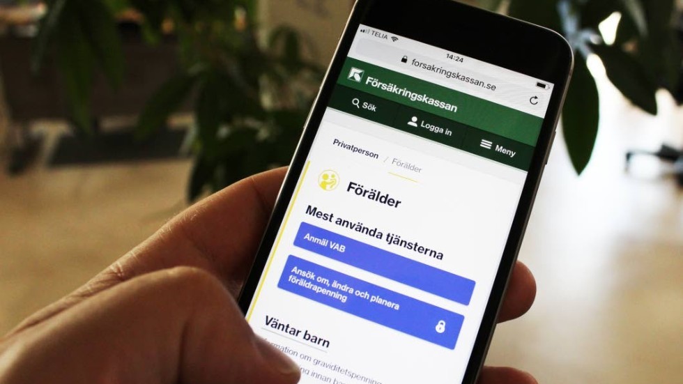 Mannen ska betala tillbaka hela beloppet på nära 170 000 kronor.