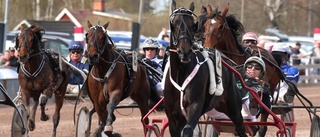 Röd dag på Mantorptravet