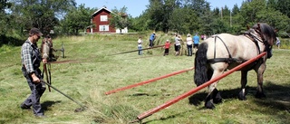 Traditionsenligt slåttergille i Strömsnäs