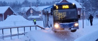 Storm photos: Miraculous escape as bus barely avoids river plunge