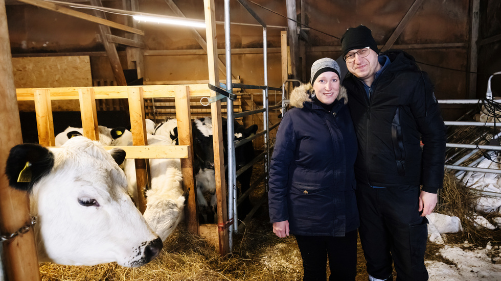 Anna och Mustafa Gültekin lämnade livet i stan för att jobba och leva på en gård. "Jag saknar ingenting från stan", säger Anna Gültekin.