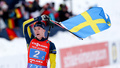 Svensk succé: Seger i mixedstafetten