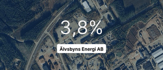 Älvsbyns Energi AB: Här är de viktigaste siffrorna från 2023