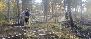 Löpare upptäckte skogsbrand utanför Läggesta