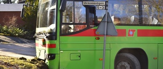 Buss i diket