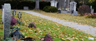 Vandaler härjar på kyrkogård