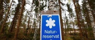 Rövareberget blir naturreservat