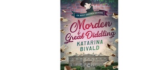 Morden i Great diddling av Katarina Bivald