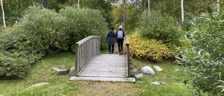 Linnéparken ska rustas upp – fokus på växtlighet