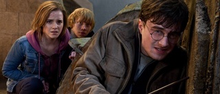 70 unga fick jobb tack vare Potter