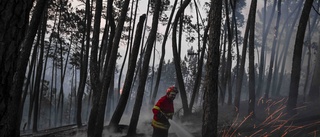 Hundratals bränder härjar i Portugal