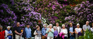 Vandring i blommande Katrineholm