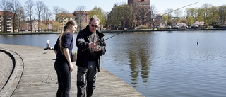 På jakt efter napp i Eskilstunaån