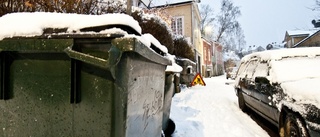 Snön föll - i år igen!