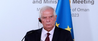 Borrell: EU vill inte se total Gazabelägring