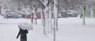 SMHI varnar för vind och snö: "Besvärligt"