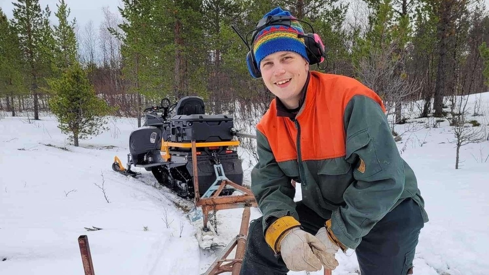 Wilmer Tuoremaa spenderar veckan i skogarna utanför  Karesuando med hårt jobb. I "Robinson" orkade han inte lika mycket. 