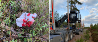 Misshandlad efter bilbråk – slets ut från kranhytt i skogen   